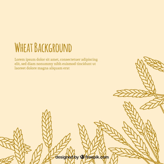 Free Vector wheat background in hand drawn style