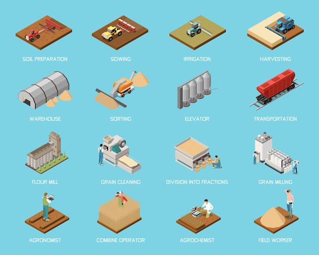 Free Vector wheat grain industry isometric set of soil preparation irrigation harvesting sorting cleaning transportation elevator grain and flour milling isolated icons vector illustration