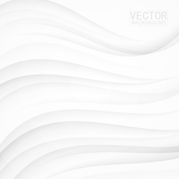 Free Vector white background curve