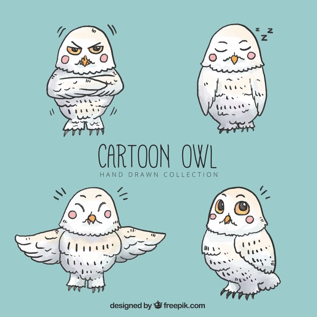 White cartoon owl pack