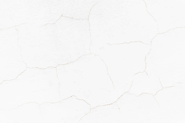 Free vector white cracked wall background