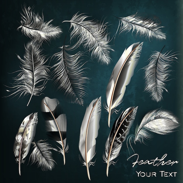 White feathers collection