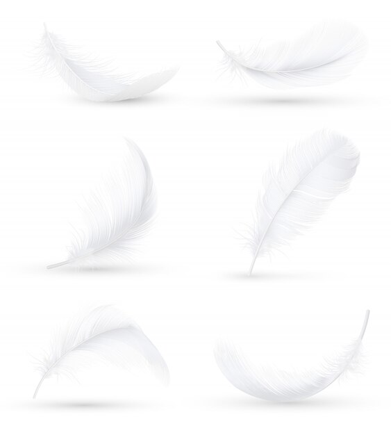 White Feathers Realistic Set