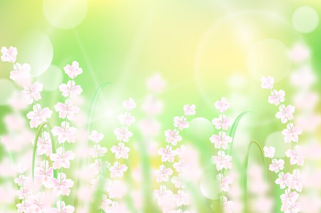 White flowers realistic blurred spring background