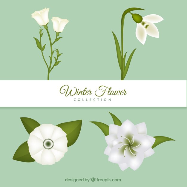 White hand drawn winter flowers