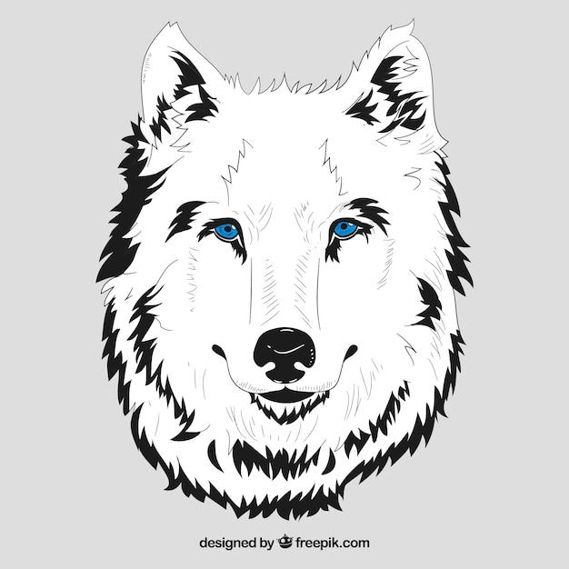 Free Vector white head of wolf with blue eyes