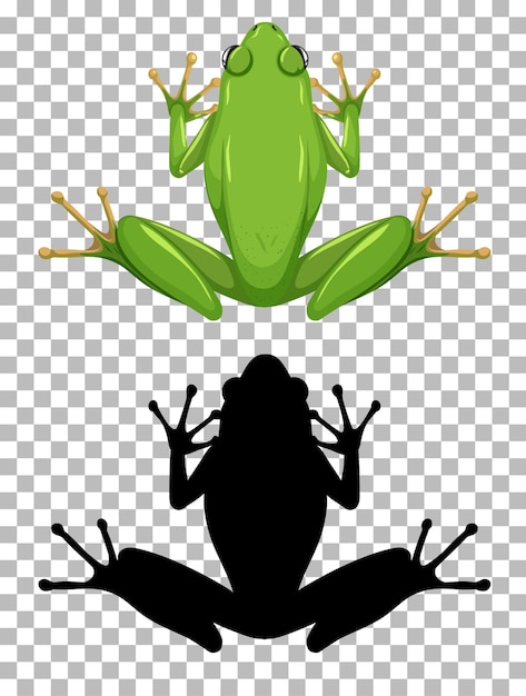 White lipped frog with its silhouette isolated