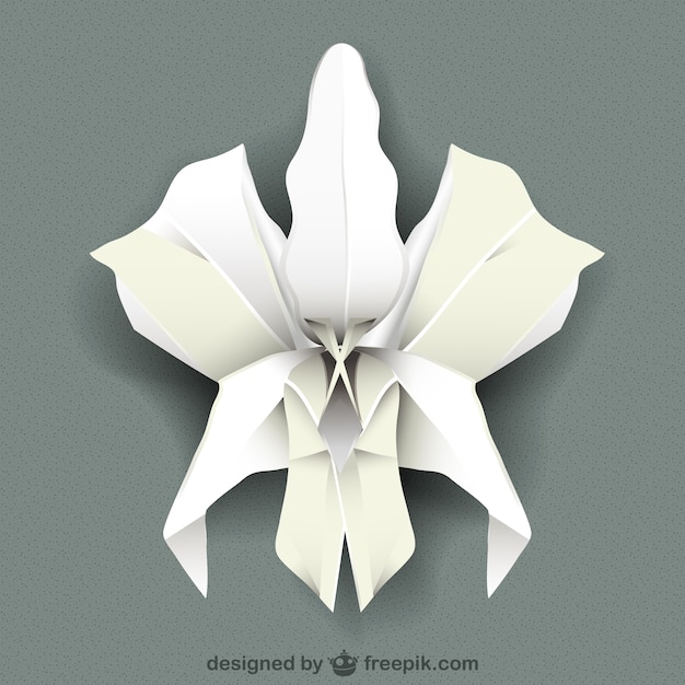 White orchid vector