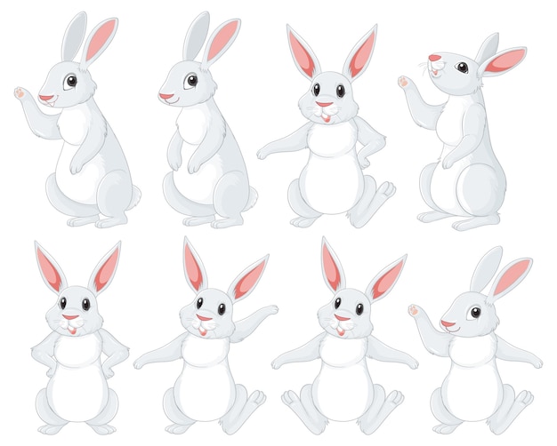 Free Vector white rabbits in different poses set