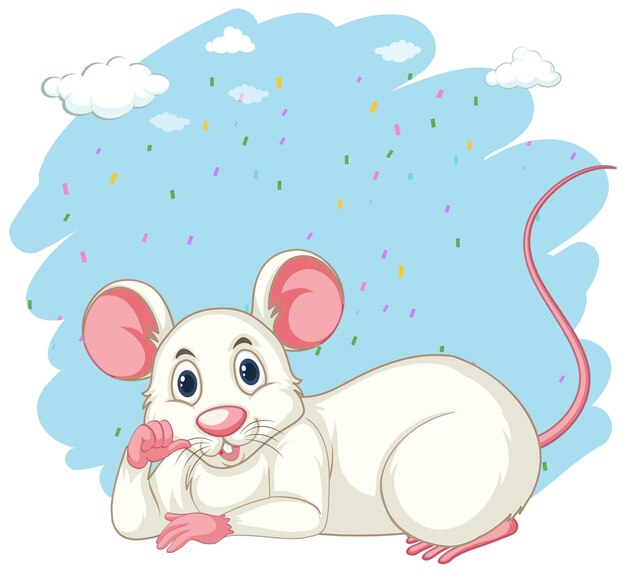 White rat on blue background