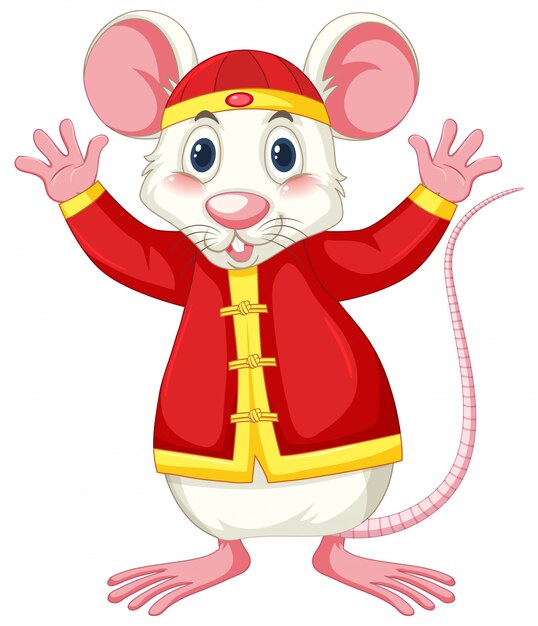 White rat in chinese costume