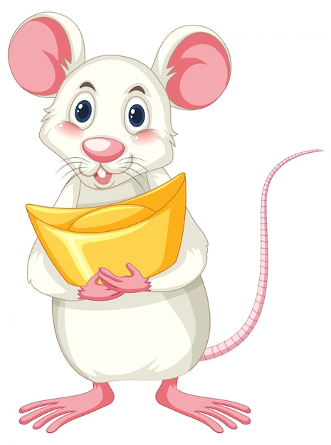 White rat holding gold isolated