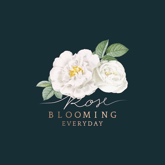 Free vector white rose blooming card design