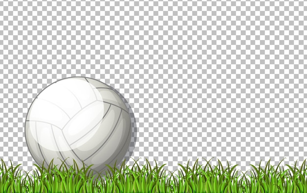 Free Vector white volleyball ball and grass on transparent background