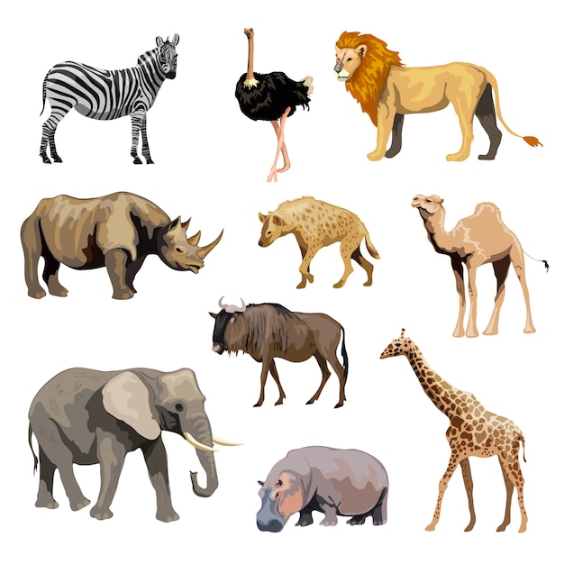 Free Vector wild african animals set