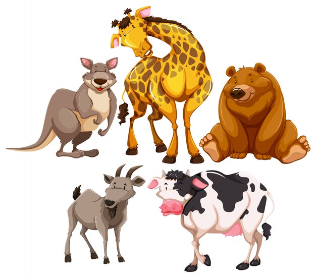 Wild animal characters on white background