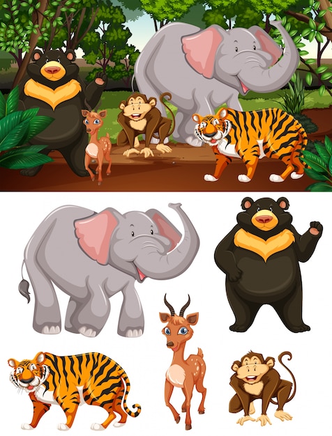 Free vector wild animals in the forest