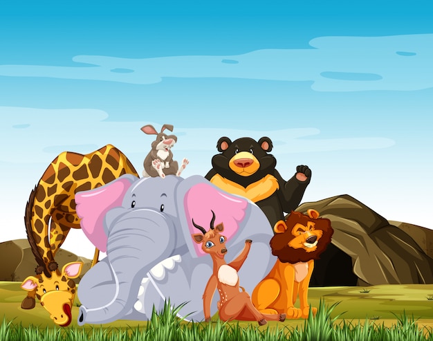 Wild animals group are posing smile cartoon style isolated on forest background