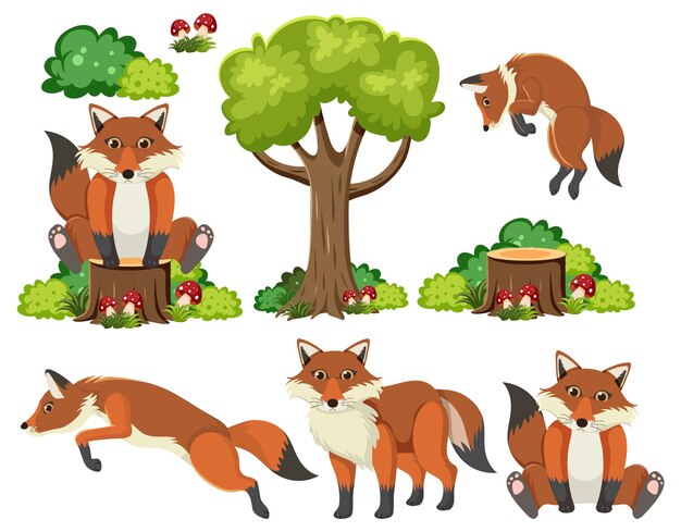 Wild animals set with nature elements