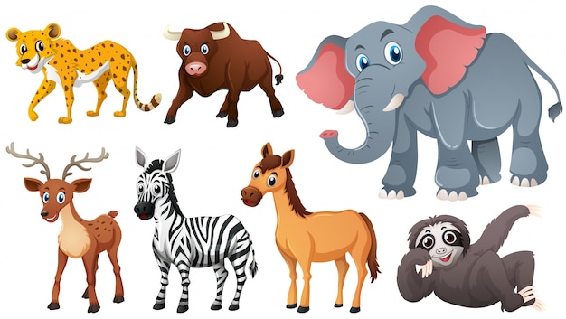 Free vector wild animals on white background