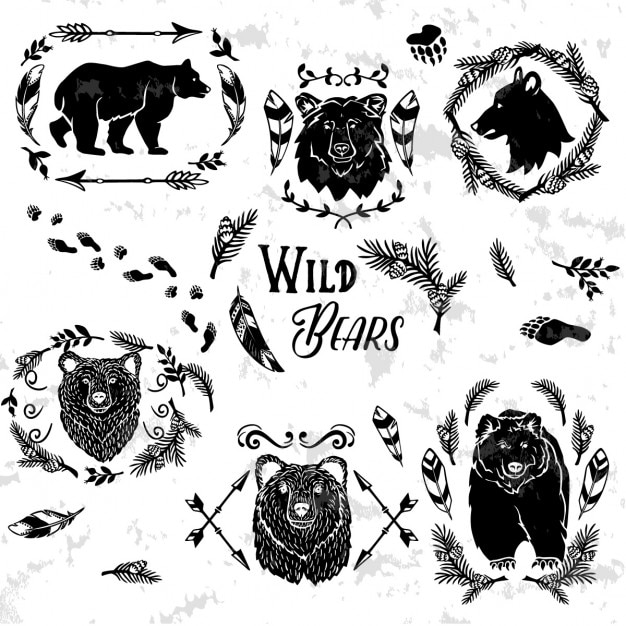 Wild bears