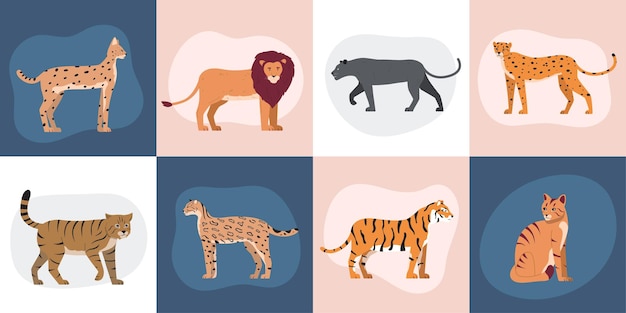 Free Vector wild cats flat set of square compositions with isolated doodle style images of wild feline animals vector illustration