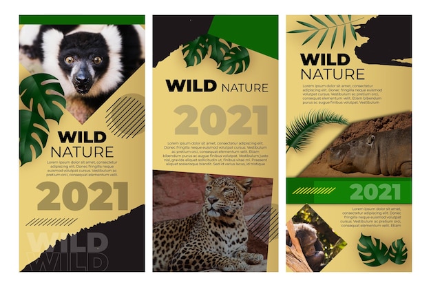 Free Vector wild nature instagram stories