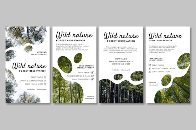 Free Vector wild nature instagram stories