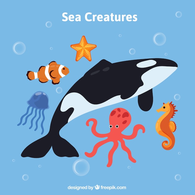 Free Vector wild sea animals pack