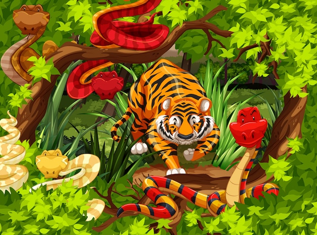 Free Vector wild snakes and tiger in the woods