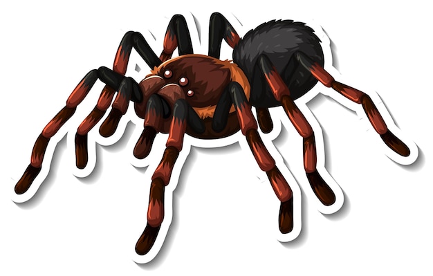 Wild spider cartoon sticker on white background