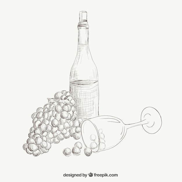 Wine and grapes illustration