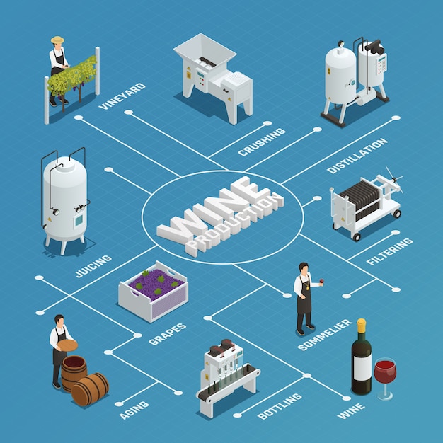 Free vector wine production isometric flowchart