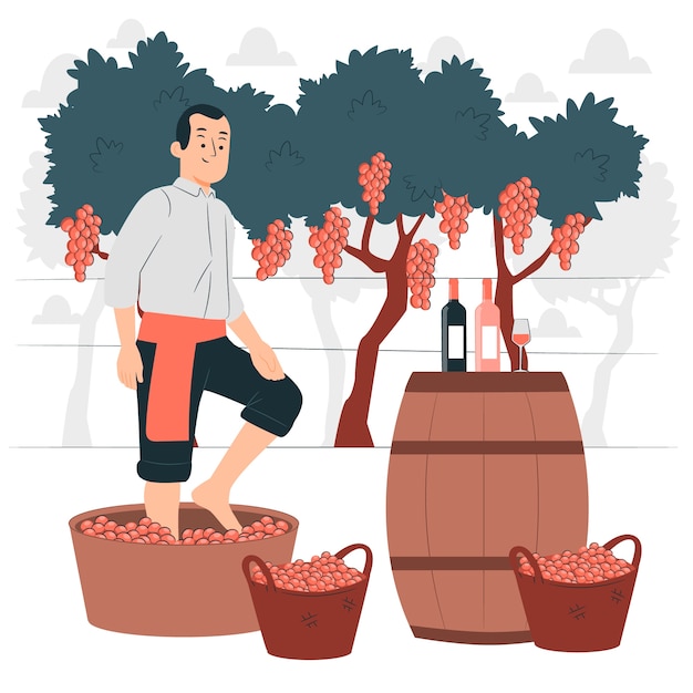 Wine traditional production concept illustration