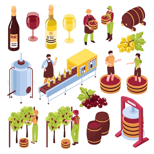 Winery isometric set vineyard with harvest pressing of grapes bottling conveyor drink in goblets isolated illustration