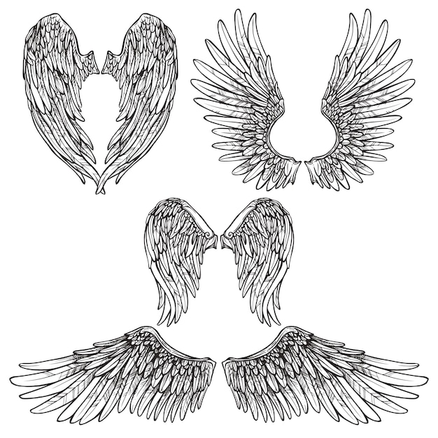 Wings Sketch Set