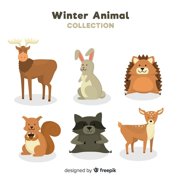 Winter animal collection