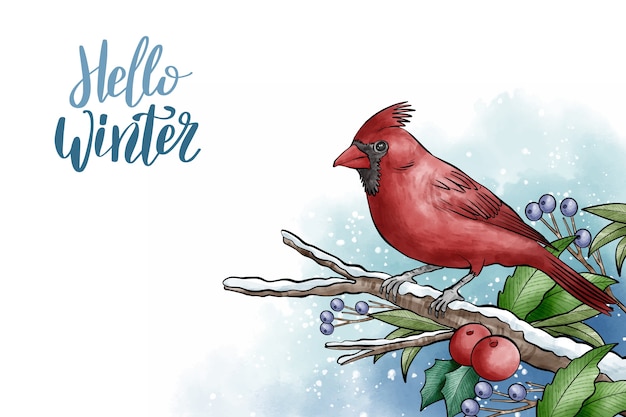 Free vector winter background with cute bird