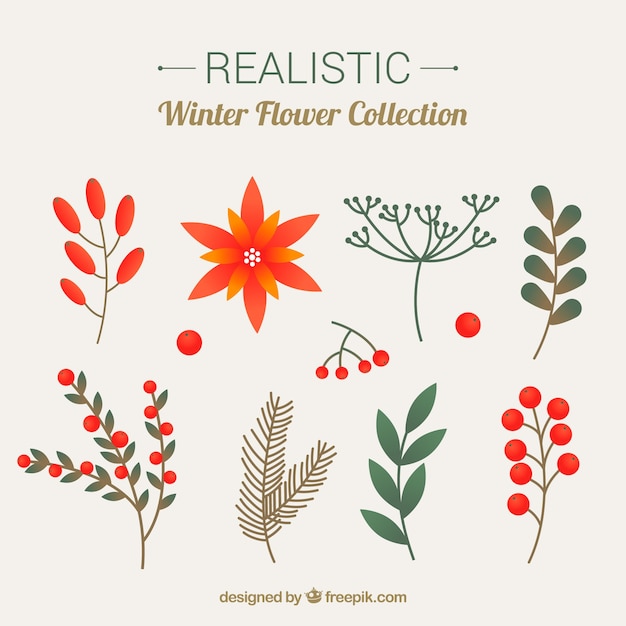 Winter flower collection