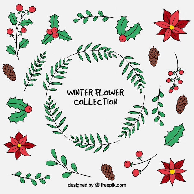 Winter flower collection