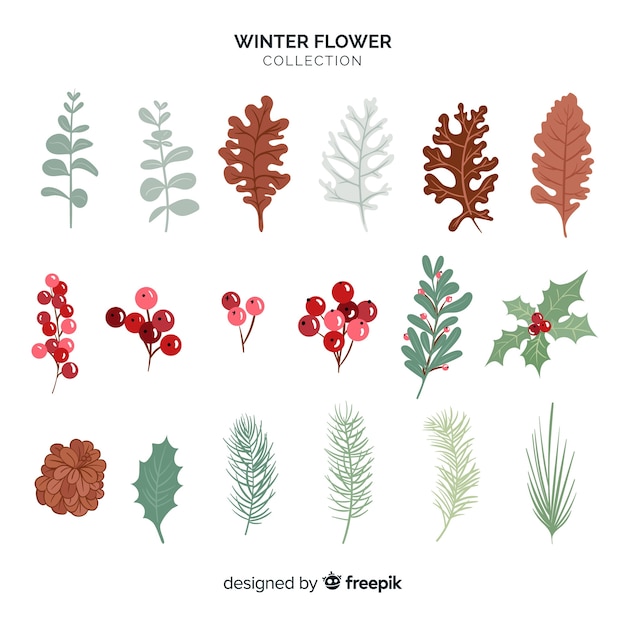 Winter flower collection