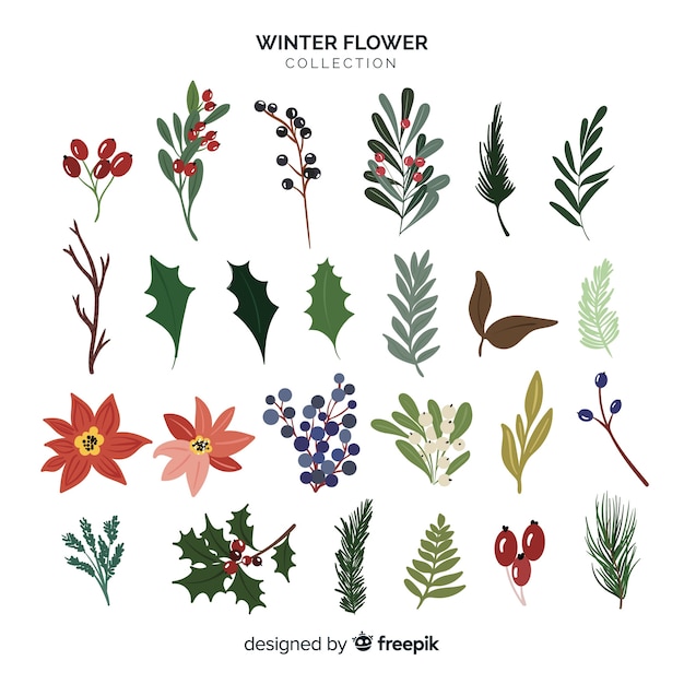 Winter flower collection