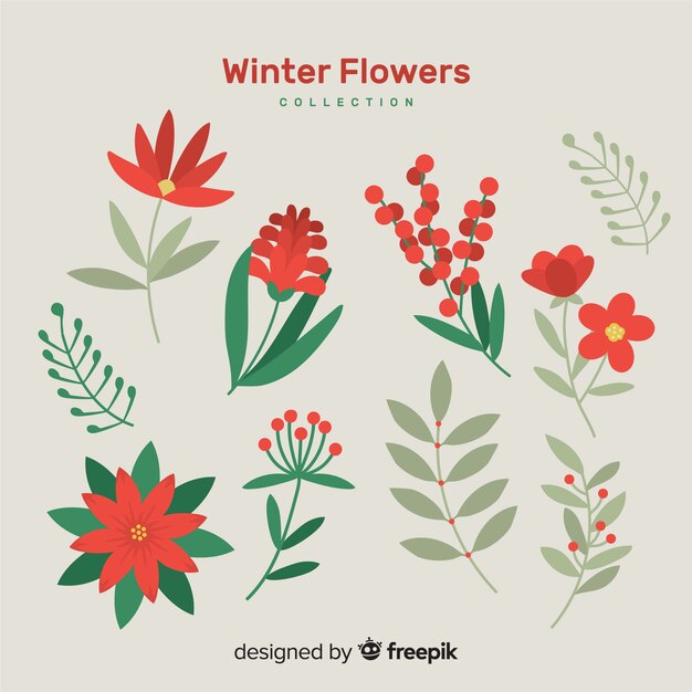 Winter flower collection