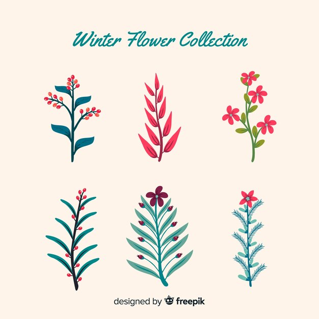 Winter flower collection