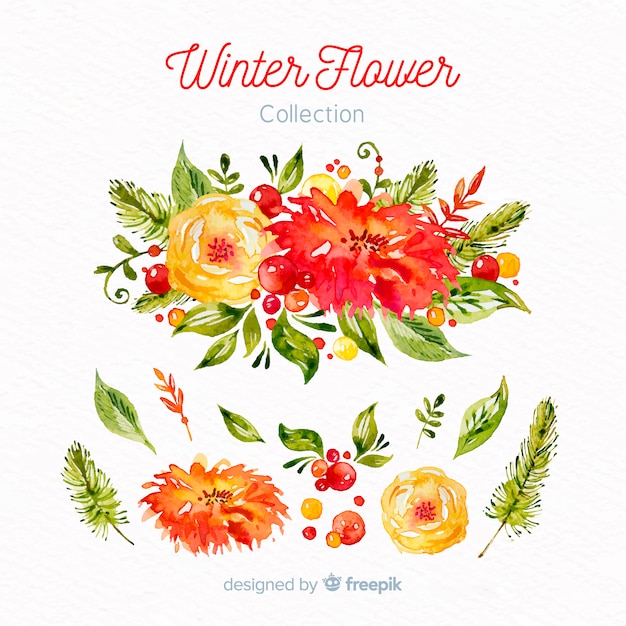 Winter flower collection