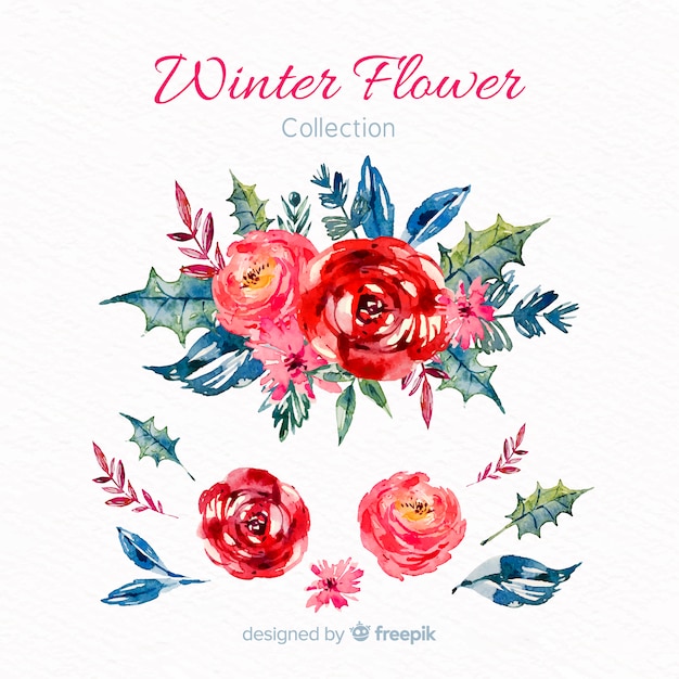 Free Vector winter flower collection