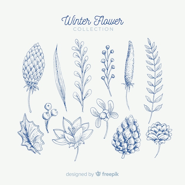 Winter flower collection