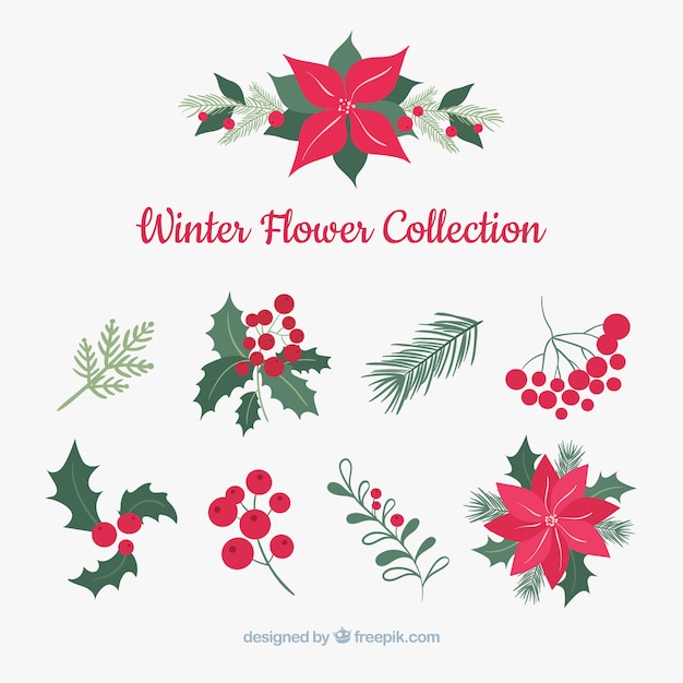 Winter flower collection