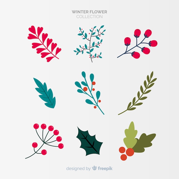 Winter flowers collection