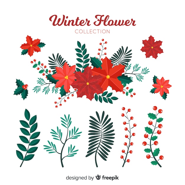 Winter flowers collection